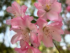 -梁鸿国家湿地公园