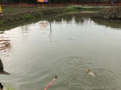 -两河城市森林公园