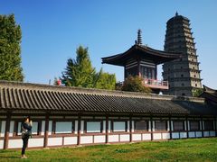 -法门文化景区