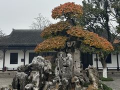 -水绘园