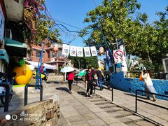 -猫咪博物馆(顶澳仔猫街店)