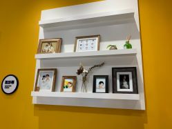-海马体家庭照相馆(杭州远洋乐堤港店)