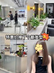 -蚂蚁造型俱乐部