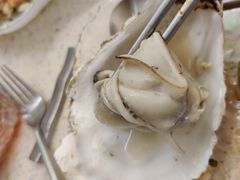 嫩滑乳山生蚝-白仁仔· 活烤海鲜 宵夜(豫园店)