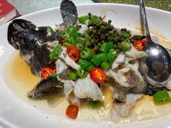 鲜花椒焗青斑-先记烧鹅王·本地粤菜(福永店)