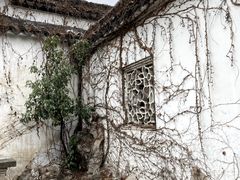 -拙政园