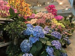 -双季花艺园艺市场(浦东店)
