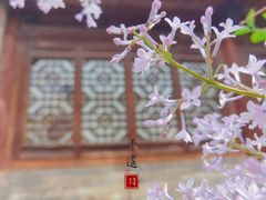 -平遥古城