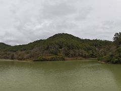 -广州白江湖森林公园