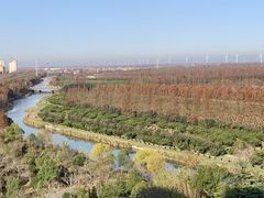 -上海长兴岛郊野公园