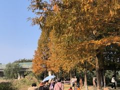 -白鹭湾湿地公园