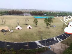 -春花秋色城市公园