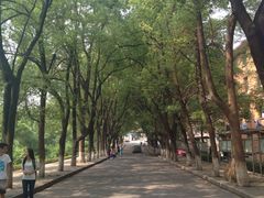 -南华大学(红湘校区)
