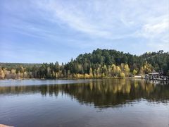 -五营红松林海景区