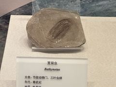 -贵州省地质博物馆