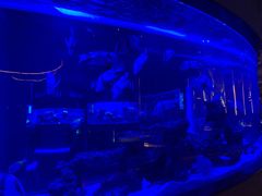 -上和臻品中国菜(花园街店)