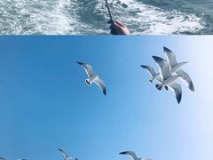 -海驴岛(荣成市)
