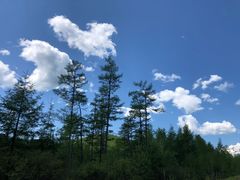 -莫尔道嘎国家森林公园