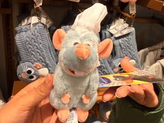 -巴黎迪士尼乐园