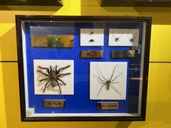 -上海昆虫博物馆