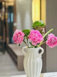 -悦尚生活空间•瑜伽普拉提•悦心芳香疗愈SPA