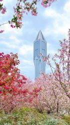 -上海明天广场JW万豪酒店·宴会厅