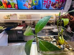 -Mr.Fruits水果先生(蓝色港湾店)