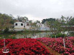 -松山湖南湖湾露营营地