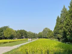 -北坞公园
