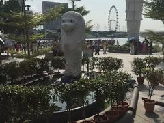 -鱼尾狮公园