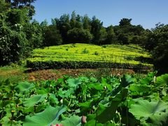 -天目湖御水温泉·度假酒店