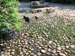 -天鹅湖体育公园