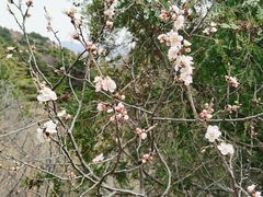 -云峰山自然风景区