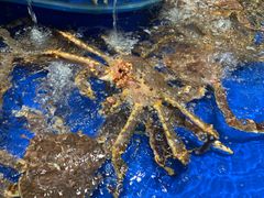 -海景壹号大酒店(惠钱路店)