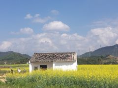 -光明小镇欢乐田园