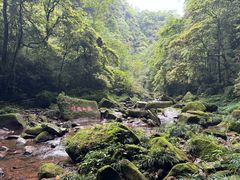 -碧峰峡风景区