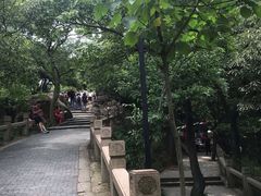 -灵岩山风景区
