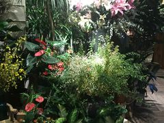 -春暖花开(西溪店)