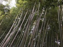 -汇龙潭