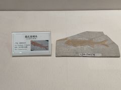 -辽宁古生物博物馆