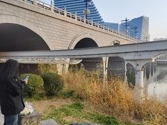 -西安曲江寒窑遗址公园