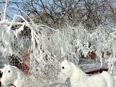 -沈阳奥体冰雪嘉年华
