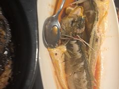 -前海沿·青岛菜(乐客城店)