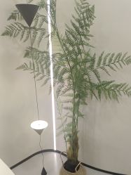 -四七美学·半永久纹眉
