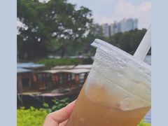 -荔湾湖公园