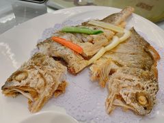 -骏莱海鲜鱼港(五角场店)