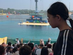 -秦皇岛乐岛海洋王国