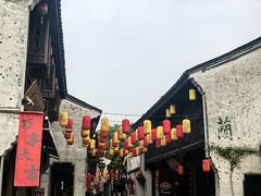 -鲁镇