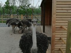 -武清南湖绿博园