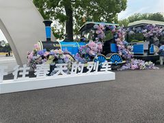 -上海鲜花港
